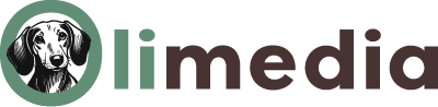 OliMedia Agencia de Marketing